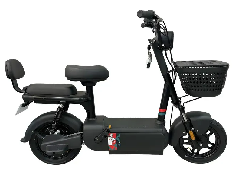 Bicicleta Elétrica South 800W